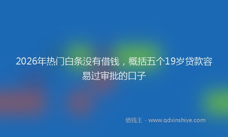 2026年热门白条没有借钱，概括五个19岁贷款容易过审批的口子