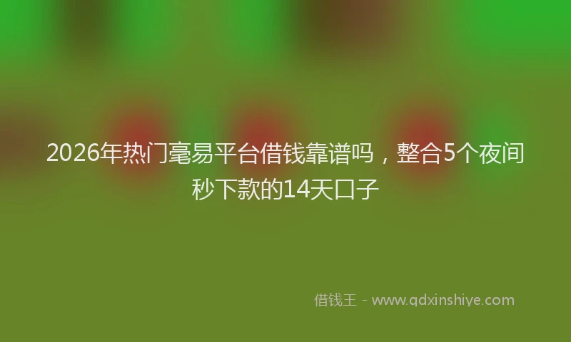 2026年热门毫易平台借钱靠谱吗，整合5个夜间秒下款的14天口子