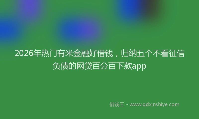 2026年热门有米金融好借钱，归纳五个不看征信负债的网贷百分百下款app