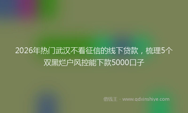 2026年热门武汉不看征信的线下贷款,梳理5个双黑烂户风控能下款5000口子