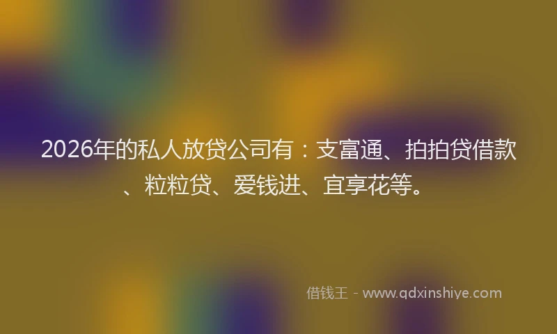 2026年的私人放贷公司有：支富通、拍拍贷借款、粒粒贷、爱钱进、宜享花等。