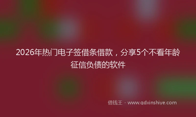2026年热门电子签借条借款,分享5个不看年龄征信负债的软件