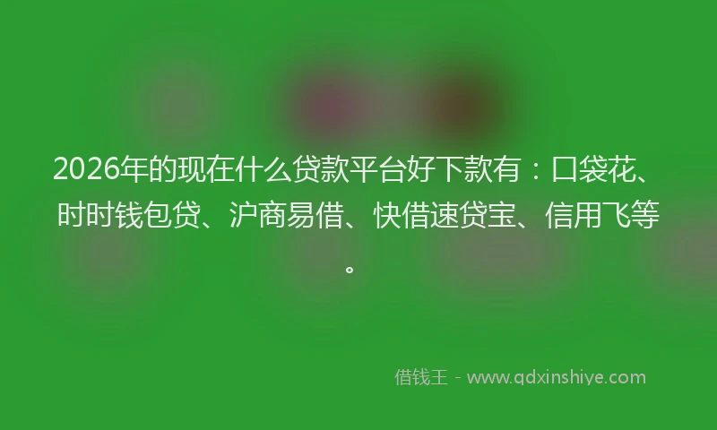 2026年的现在什么贷款平台好下款有：口袋花、时时钱包贷、沪商易借、快借速贷宝、信用飞等。
