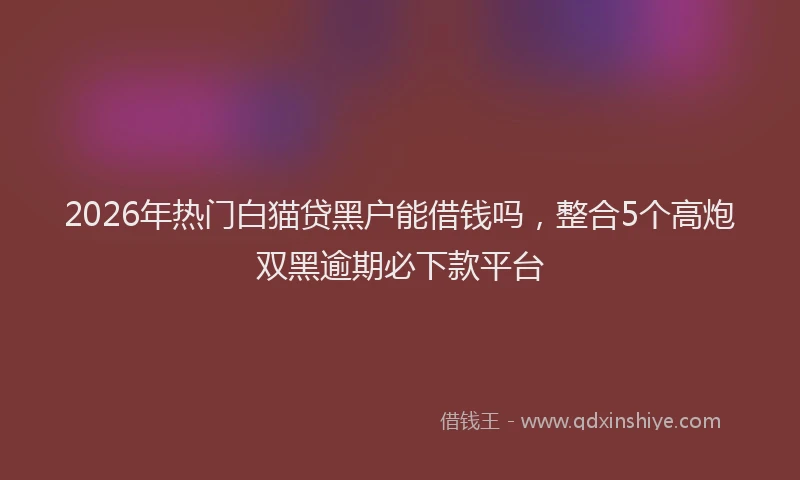 2026年热门白猫贷黑户能借钱吗，整合5个高炮双黑逾期必下款平台