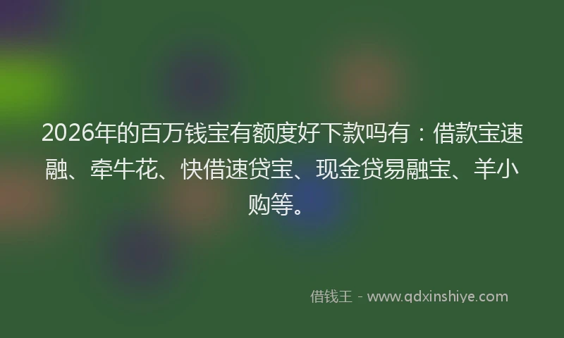 2026年的百万钱宝有额度好下款吗有：借款宝速融、牵牛花、快借速贷宝、现金贷易融宝、羊小购等。