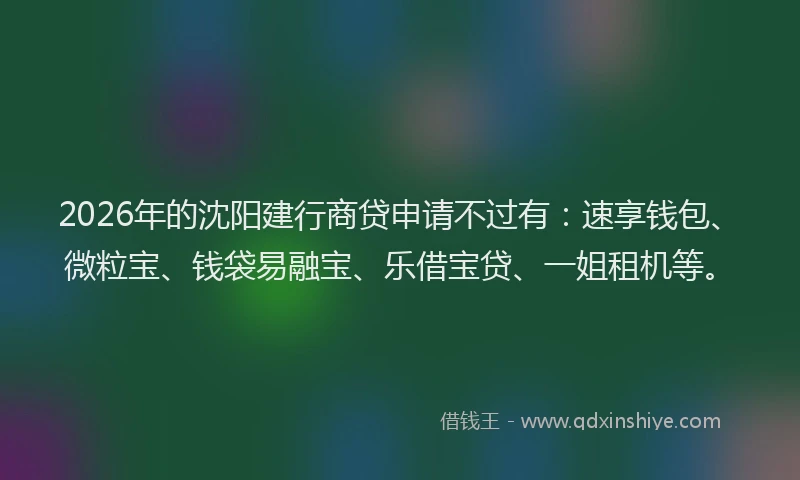 2026年的沈阳建行商贷申请不过有:速享钱包、微粒宝、钱袋易融宝、乐借宝贷、一姐租机等。