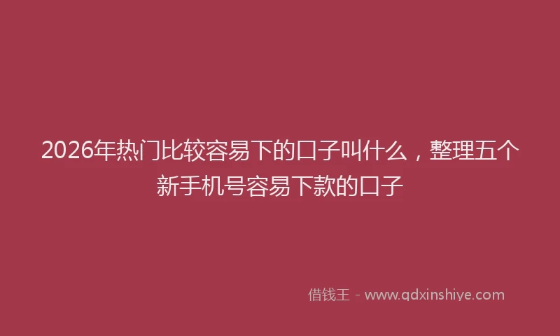 2026年热门比较容易下的口子叫什么，整理五个新手机号容易下款的口子