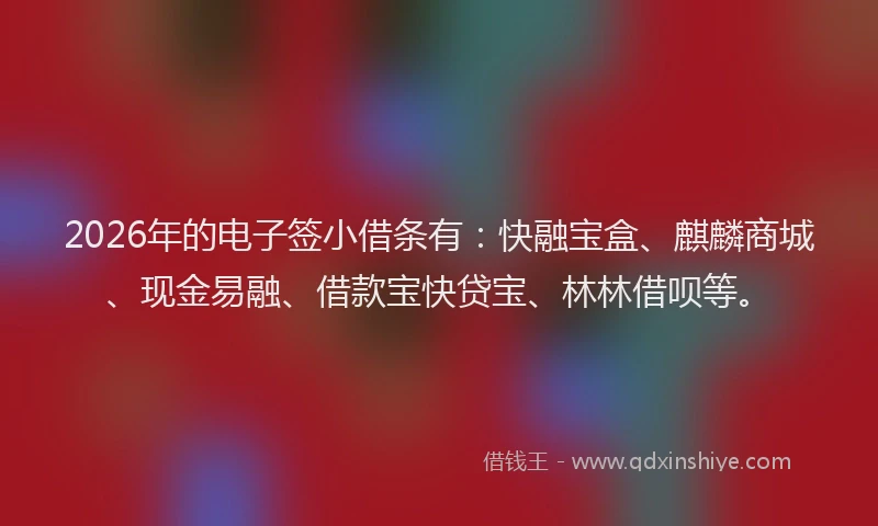 2026年的电子签小借条有：快融宝盒、麒麟商城、现金易融、借款宝快贷宝、林林借呗等。