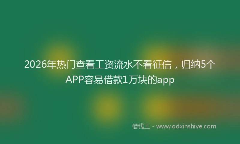 2026年热门查看工资流水不看征信，归纳5个APP容易借款1万块的app