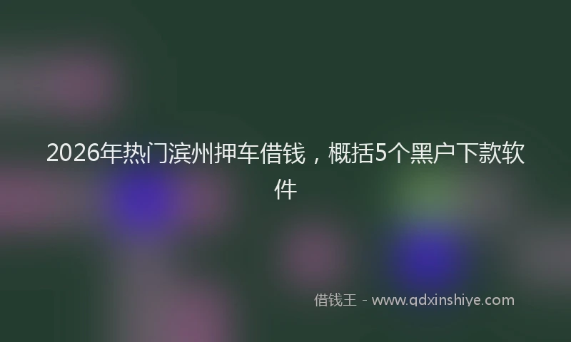 2026年热门滨州押车借钱,概括5个黑户下款软件