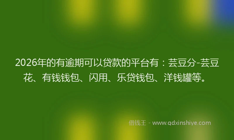 2026年的有逾期可以贷款的平台有：芸豆分-芸豆花、有钱钱包、闪用、乐贷钱包、洋钱罐等。