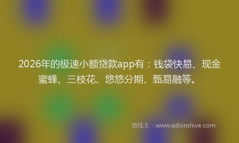 2026年的极速小额贷款app有：钱袋快易、现金蜜蜂、三枝花、悠悠分期、甄易融等。