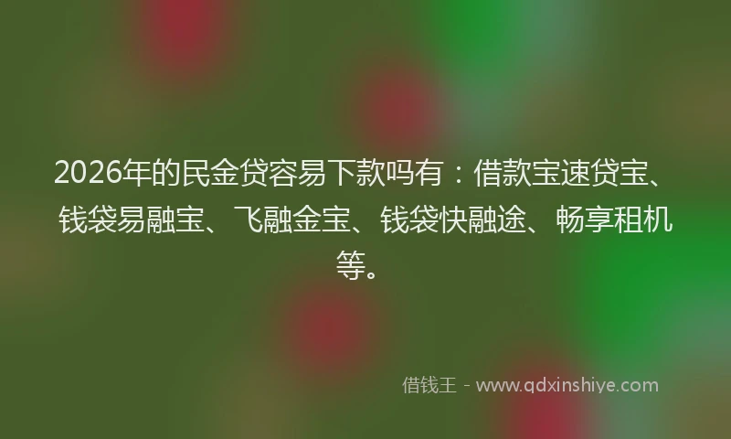 2026年的民金贷容易下款吗有：借款宝速贷宝、钱袋易融宝、飞融金宝、钱袋快融途、畅享租机等。
