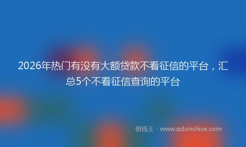 2026年热门有没有大额贷款不看征信的平台，汇总5个不看征信查询的平台