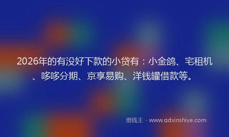 2026年的有没好下款的小贷有：小金鸽、宅租机、哆哆分期、京享易购、洋钱罐借款等。
