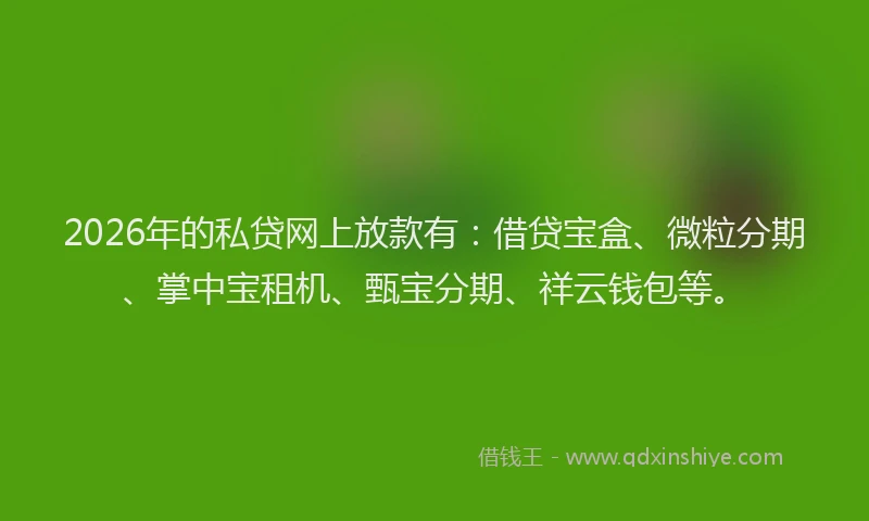 2026年的私贷网上放款有：借贷宝盒、微粒分期、掌中宝租机、甄宝分期、祥云钱包等。