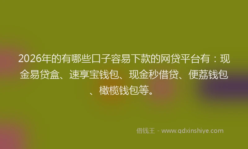 2026年的有哪些口子容易下款的网贷平台有:现金易贷盒、速享宝钱包、现金秒借贷、便荔钱包、橄榄钱包等。