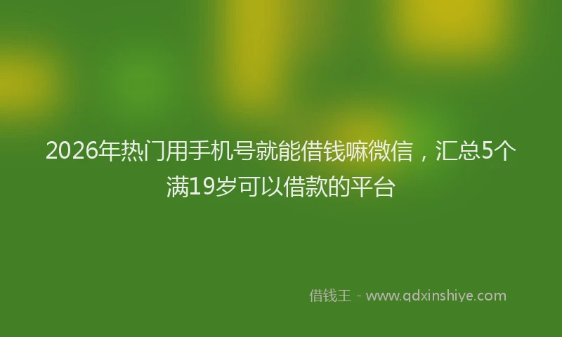 2026年热门用手机号就能借钱嘛微信，汇总5个满19岁可以借款的平台