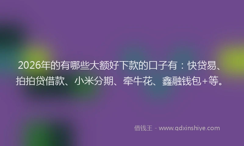 2026年的有哪些大额好下款的口子有:快贷易、拍拍贷借款、小米分期、牵牛花、鑫融钱包+等。