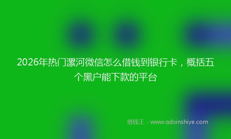 2026年热门漯河微信怎么借钱到银行卡，概括五个黑户能下款的平台