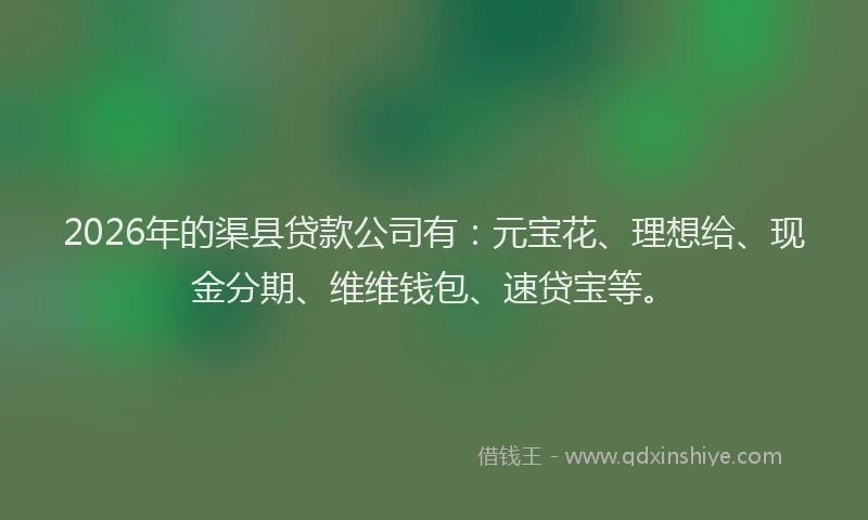 2026年的渠县贷款公司有：元宝花、理想给、现金分期、维维钱包、速贷宝等。