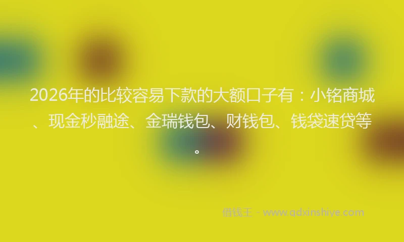 2026年的比较容易下款的大额口子有：小铭商城、现金秒融途、金瑞钱包、财钱包、钱袋速贷等。