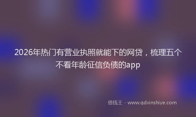 2026年热门有营业执照就能下的网贷，梳理五个不看年龄征信负债的app