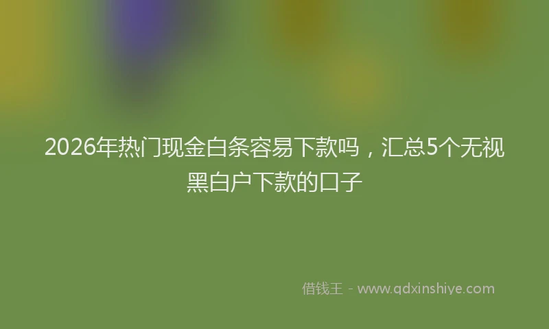 2026年热门现金白条容易下款吗，汇总5个无视黑白户下款的口子