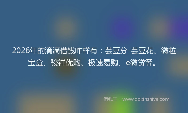 2026年的滴滴借钱咋样有：芸豆分-芸豆花、微粒宝盒、骏祥优购、极速易购、e微贷等。