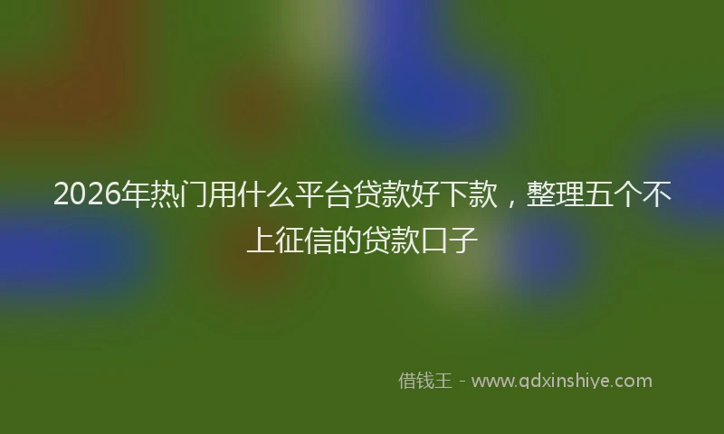 2026年热门用什么平台贷款好下款，整理五个不上征信的贷款口子