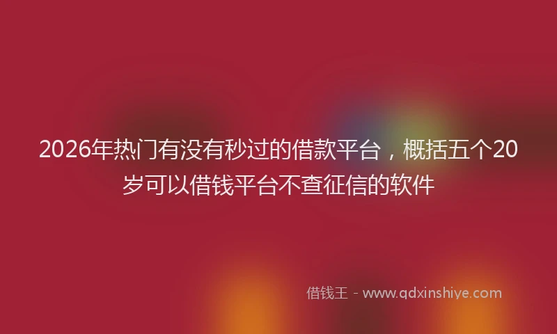2026年热门有没有秒过的借款平台，概括五个20岁可以借钱平台不查征信的软件