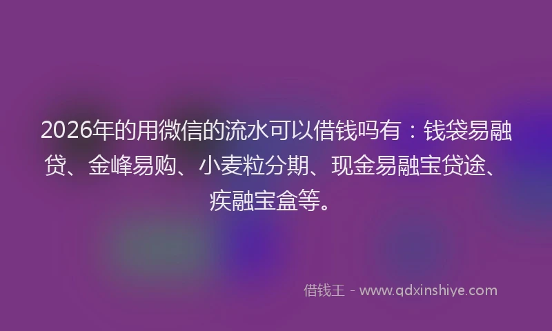 2026年的用微信的流水可以借钱吗有：钱袋易融贷、金峰易购、小麦粒分期、现金易融宝贷途、疾融宝盒等。