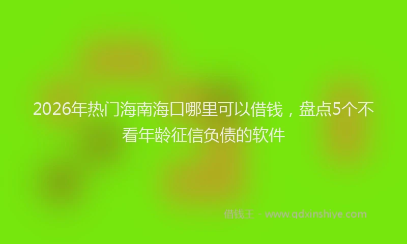 2026年热门海南海口哪里可以借钱，盘点5个不看年龄征信负债的软件
