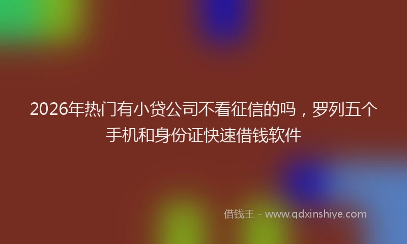 2026年热门有小贷公司不看征信的吗，罗列五个手机和身份证快速借钱软件