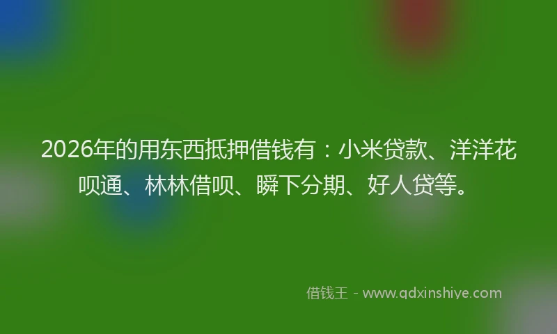 2026年的用东西抵押借钱有：小米贷款、洋洋花呗通、林林借呗、瞬下分期、好人贷等。