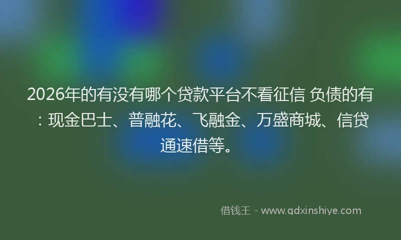 2026年的有没有哪个贷款平台不看征信 负债的有：现金巴士、普融花、飞融金、万盛商城、信贷通速借等。