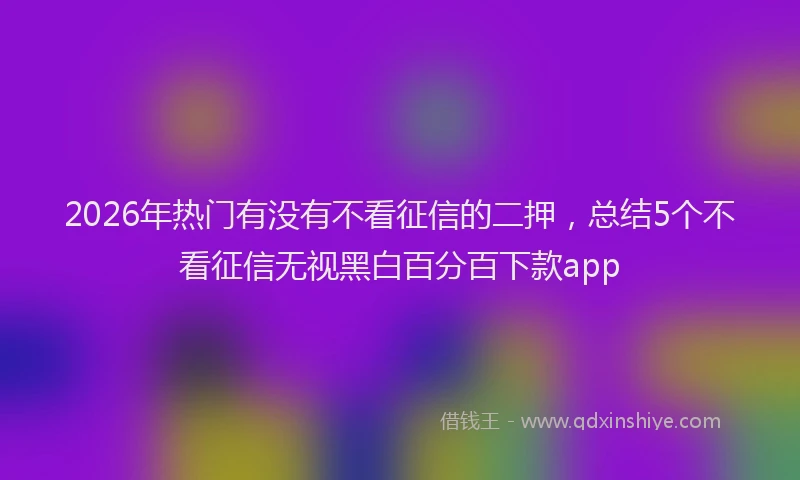 2026年热门有没有不看征信的二押，总结5个不看征信无视黑白百分百下款app