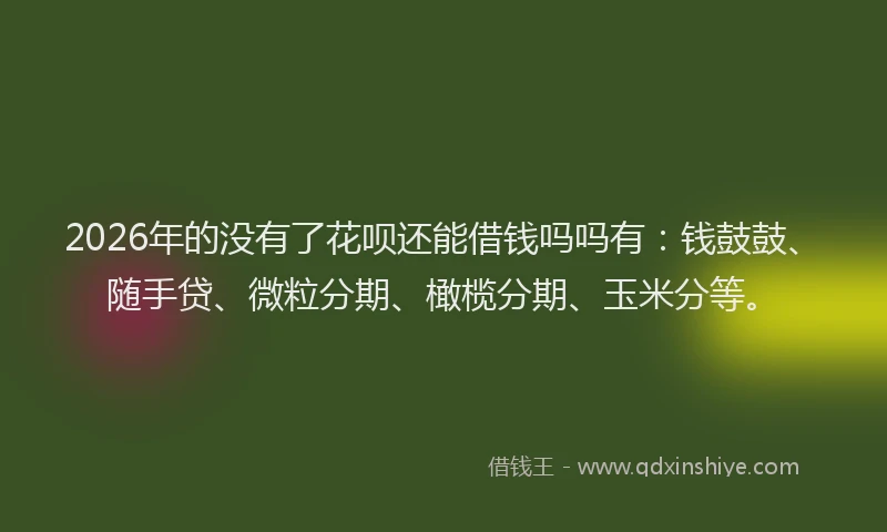 2026年的没有了花呗还能借钱吗吗有：钱鼓鼓、随手贷、微粒分期、橄榄分期、玉米分等。