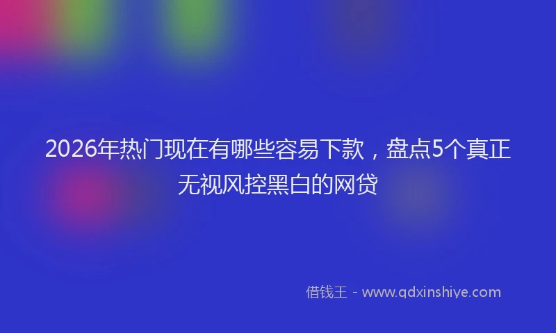 2026年热门现在有哪些容易下款，盘点5个真正无视风控黑白的网贷