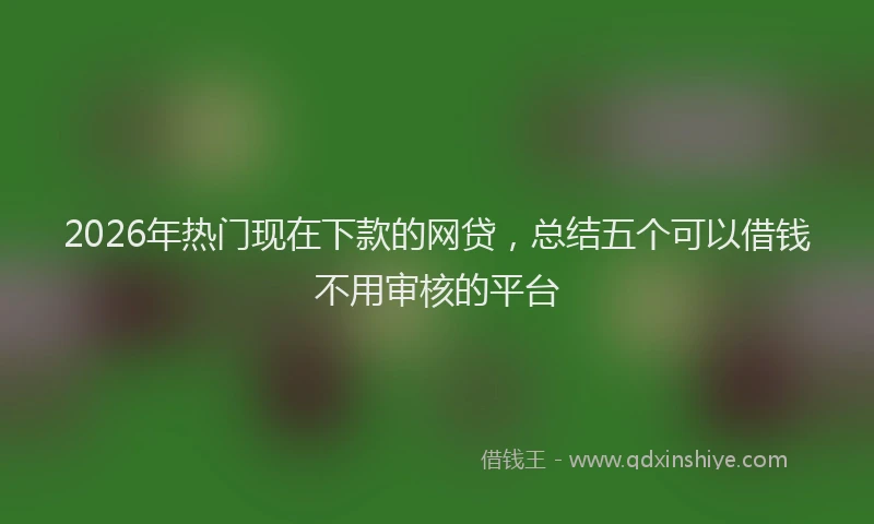 2026年热门现在下款的网贷，总结五个可以借钱不用审核的平台