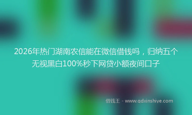 2026年热门湖南农信能在微信借钱吗，归纳五个无视黑白100%秒下网贷小额夜间口子