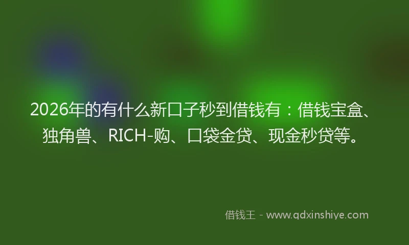 2026年的有什么新口子秒到借钱有：借钱宝盒、独角兽、RICH-购、口袋金贷、现金秒贷等。