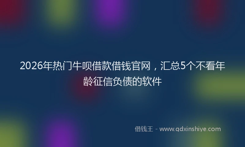 2026年热门牛呗借款借钱官网，汇总5个不看年龄征信负债的软件