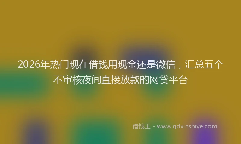 2026年热门现在借钱用现金还是微信，汇总五个不审核夜间直接放款的网贷平台