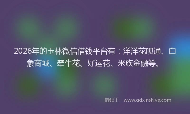 2026年的玉林微信借钱平台有：洋洋花呗通、白象商城、牵牛花、好运花、米族金融等。