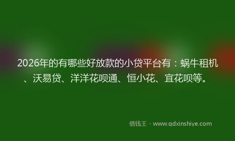 2026年的有哪些好放款的小贷平台有：蜗牛租机、沃易贷、洋洋花呗通、恒小花、宜花呗等。