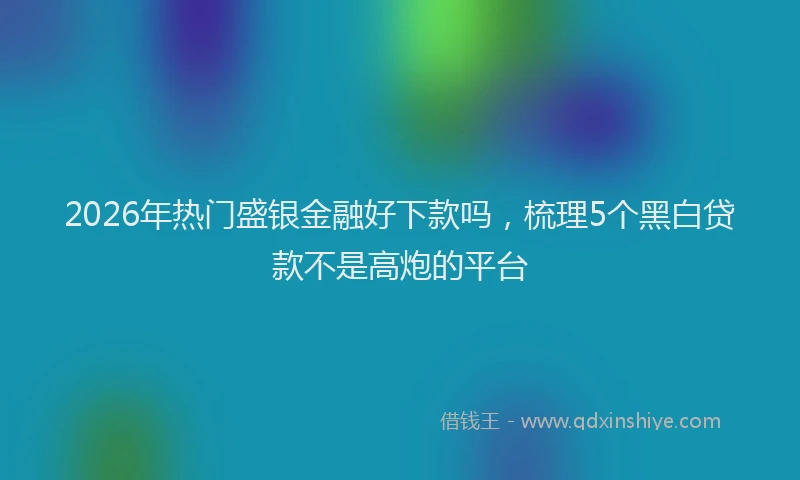2026年热门盛银金融好下款吗，梳理5个黑白贷款不是高炮的平台