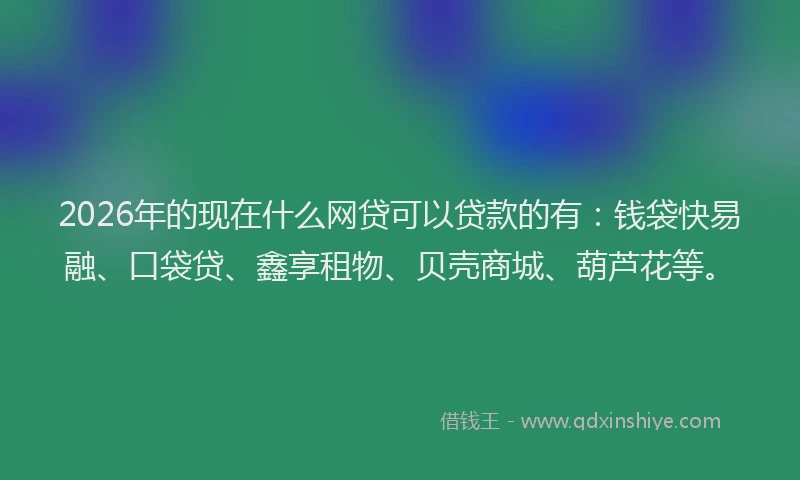 2026年的现在什么网贷可以贷款的有：钱袋快易融、口袋贷、鑫享租物、贝壳商城、葫芦花等。