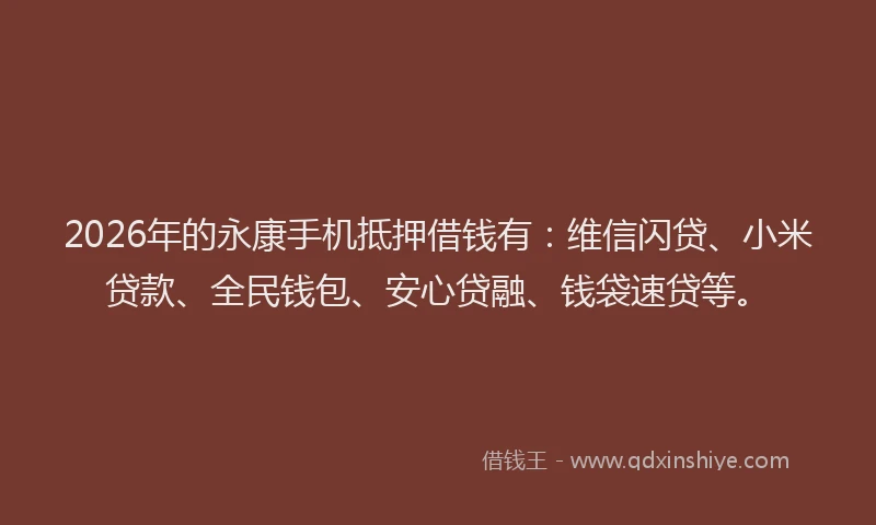 2026年的永康手机抵押借钱有：维信闪贷、小米贷款、全民钱包、安心贷融、钱袋速贷等。