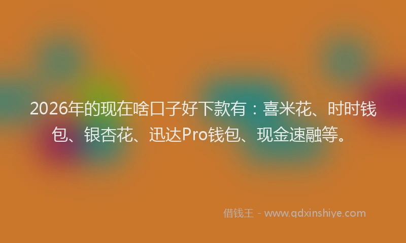 2026年的现在啥口子好下款有：喜米花、时时钱包、银杏花、迅达Pro钱包、现金速融等。